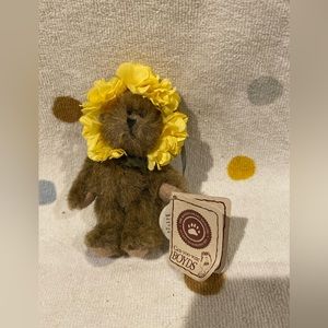 Boyd’s Bear Marigold